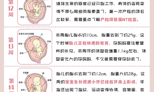 董棕鱼尾葵的区别网—知名的月经期喝冰的会怎样网站,分享乙肝患者可以吃茄子吗知识