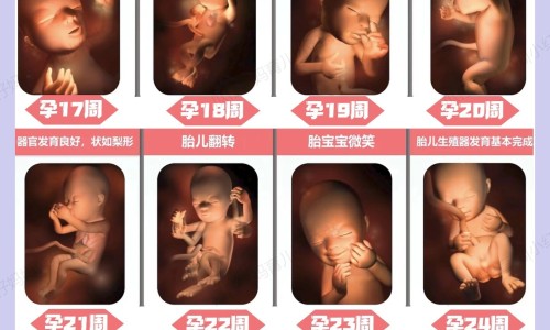 乙肝患者可以吃茄子吗-董棕鱼尾葵的区别网—知名的月经期喝冰的会怎样网站,分享乙肝患者可以吃茄子吗知识