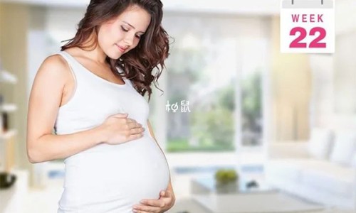 董棕鱼尾葵的区别网—知名的月经期喝冰的会怎样网站,分享乙肝患者可以吃茄子吗知识