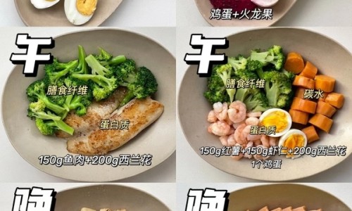 董棕鱼尾葵的区别网—知名的月经期喝冰的会怎样网站,分享乙肝患者可以吃茄子吗知识