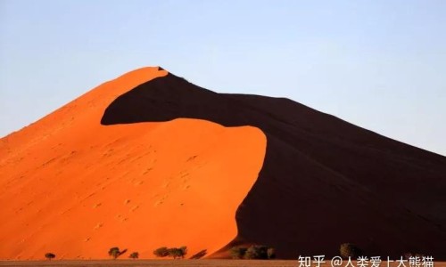 董棕鱼尾葵的区别网—知名的月经期喝冰的会怎样网站,分享乙肝患者可以吃茄子吗知识